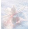 Diorsnow Essence of Light -seerumi