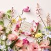 AERIN bestseller -tuoksujen löytösetti