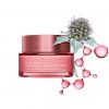 Multi-Active Night Face Cream - kaikille ihotyypeille