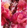 Neiti Dior Parfum