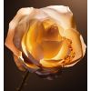 Dior Prestige Le Nectar Premier -täyttö