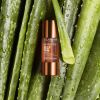 Radiance Plus Golden Glow itseruskettavat kasvotipat